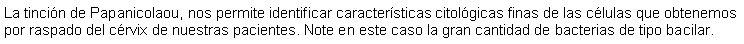Cuadro de texto: La tincin de Papanicolaou, nos permite identificar caractersticas citolgicas finas de las clulas que obtenemos por raspado del crvix de nuestras pacientes. Note en este caso la gran cantidad de bacterias de tipo bacilar.
