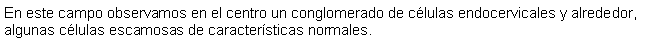 Cuadro de texto: En este campo observamos en el centro un conglomerado de clulas endocervicales y alrededor, algunas clulas escamosas de caractersticas normales.