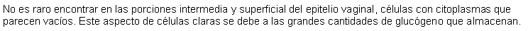 Cuadro de texto: No es raro encontrar en las porciones intermedia y superficial del epitelio vaginal, clulas con citoplasmas que parecen vacos. Este aspecto de clulas claras se debe a las grandes cantidades de glucgeno que almacenan.