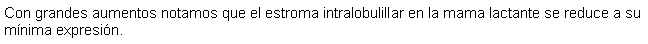 Cuadro de texto: Con grandes aumentos notamos que el estroma intralobulillar en la mama lactante se reduce a su mnima expresin.