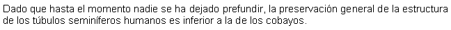 Cuadro de texto: Dado que hasta el momento nadie se ha dejado prefundir, la preservacin general de la estructura de los tbulos seminferos humanos es inferior a la de los cobayos.