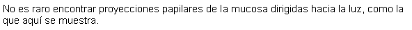 Cuadro de texto: No es raro encontrar proyecciones papilares de la mucosa dirigidas hacia la luz, como la que aqu se muestra. 