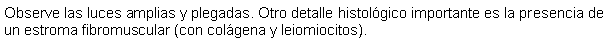 Cuadro de texto: Observe las luces amplias y plegadas. Otro detalle histolgico importante es la presencia de un estroma fibromuscular (con colgena y leiomiocitos).
