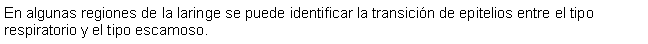 Cuadro de texto: En algunas regiones de la laringe se puede identificar la transicin de epitelios entre el tipo respiratorio y el tipo escamoso.