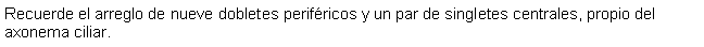 Cuadro de texto: Recuerde el arreglo de nueve dobletes perifricos y un par de singletes centrales, propio del axonema ciliar.