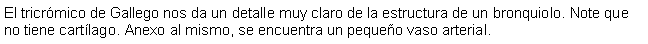 Cuadro de texto: El tricrmico de Gallego nos da un detalle muy claro de la estructura de un bronquiolo. Note que no tiene cartlago. Anexo al mismo, se encuentra un pequeo vaso arterial.