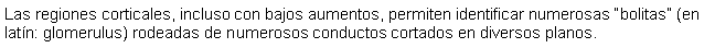 Cuadro de texto: Las regiones corticales, incluso con bajos aumentos, permiten identificar numerosas bolitas (en latn: glomerulus) rodeadas de numerosos conductos cortados en diversos planos.