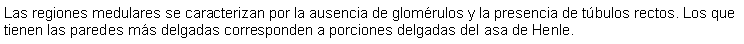 Cuadro de texto: Las regiones medulares se caracterizan por la ausencia de glomrulos y la presencia de tbulos rectos. Los que tienen las paredes ms delgadas corresponden a porciones delgadas del asa de Henle.