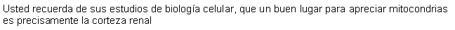 Cuadro de texto: Usted recuerda de sus estudios de biologa celular, que un buen lugar para apreciar mitocondrias es precisamente la corteza renal