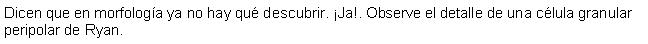 Cuadro de texto: Dicen que en morfologa ya no hay qu descubrir. Ja!. Observe el detalle de una clula granular peripolar de Ryan. 