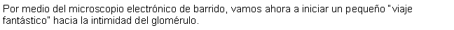 Cuadro de texto: Por medio del microscopio electrnico de barrido, vamos ahora a iniciar un pequeo viaje fantstico hacia la intimidad del glomrulo. 