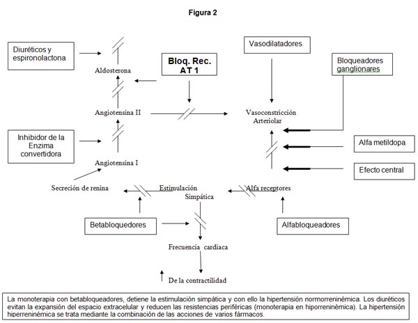 Significado De Efecto Diuretico